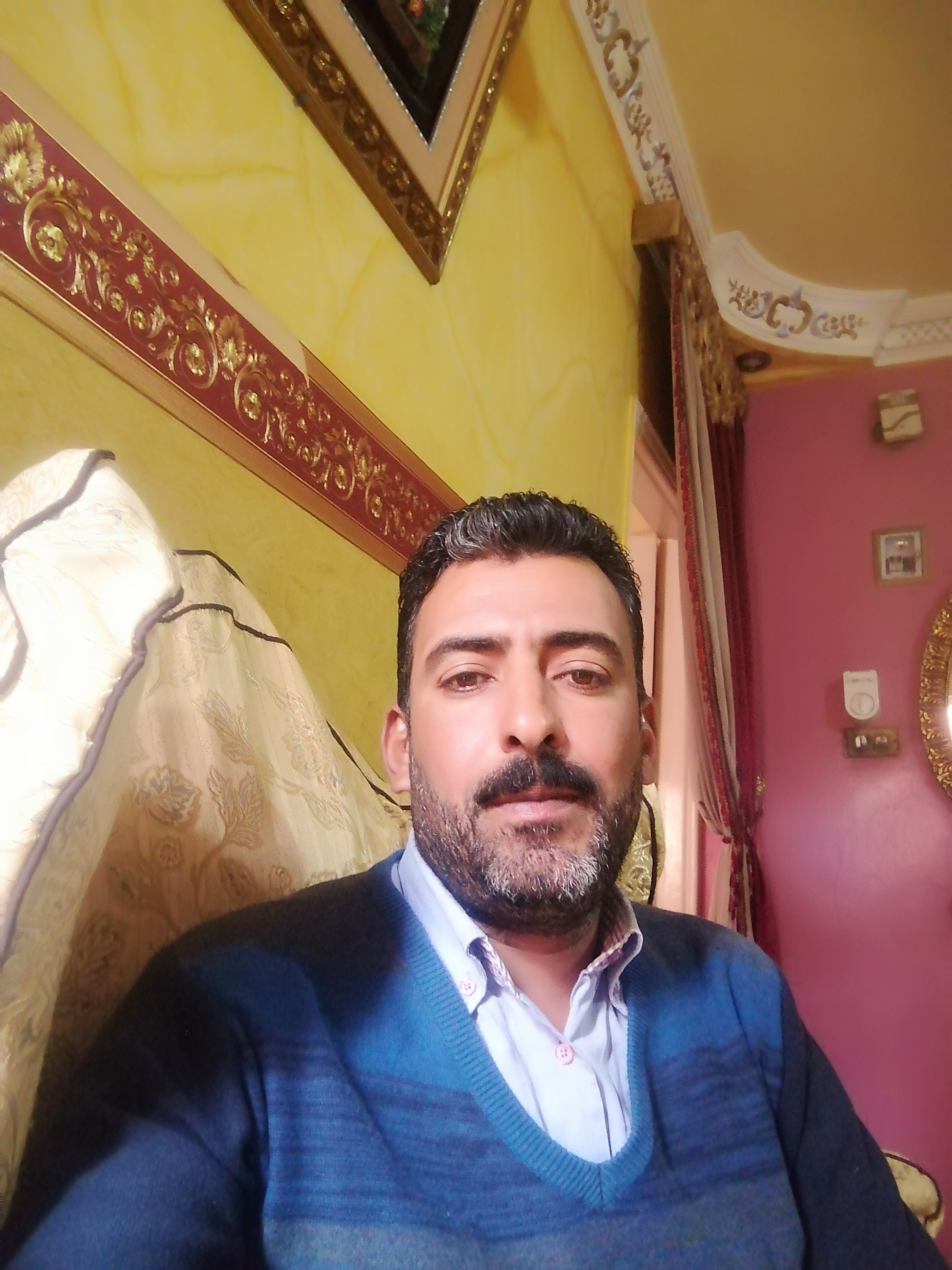 وائل ابو المعاطي احمد العشماوي مدني و اسرة و جنائي