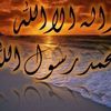 اسلام نبيل المحامى